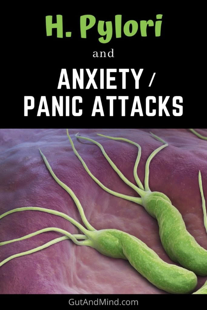 H. pylori and anxiety/panic attacks